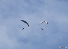 顔に見えるかな？