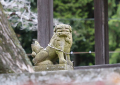 狛犬
