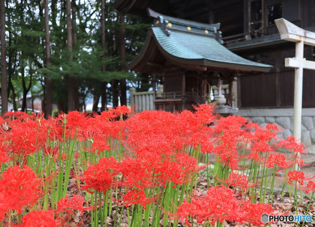 近くの神社にて