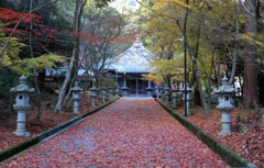 晩秋３　西林寺にて