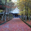 晩秋３　西林寺にて