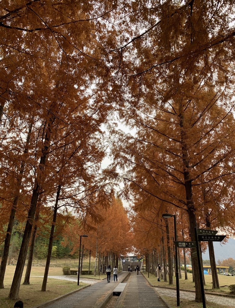 日本へそ公園にて