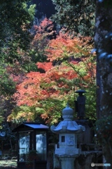西林寺にて６
