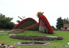 明石海峡公園にて