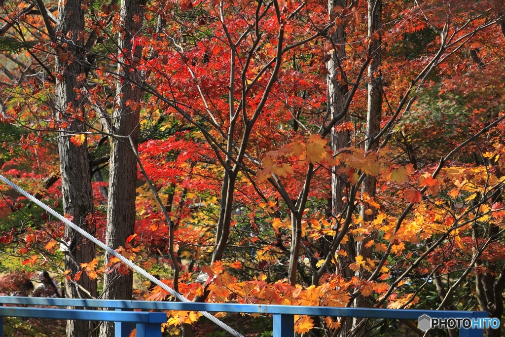 余暇村公園にて