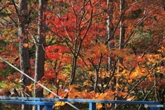 余暇村公園にて