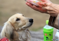 オヤツだっ‼︎