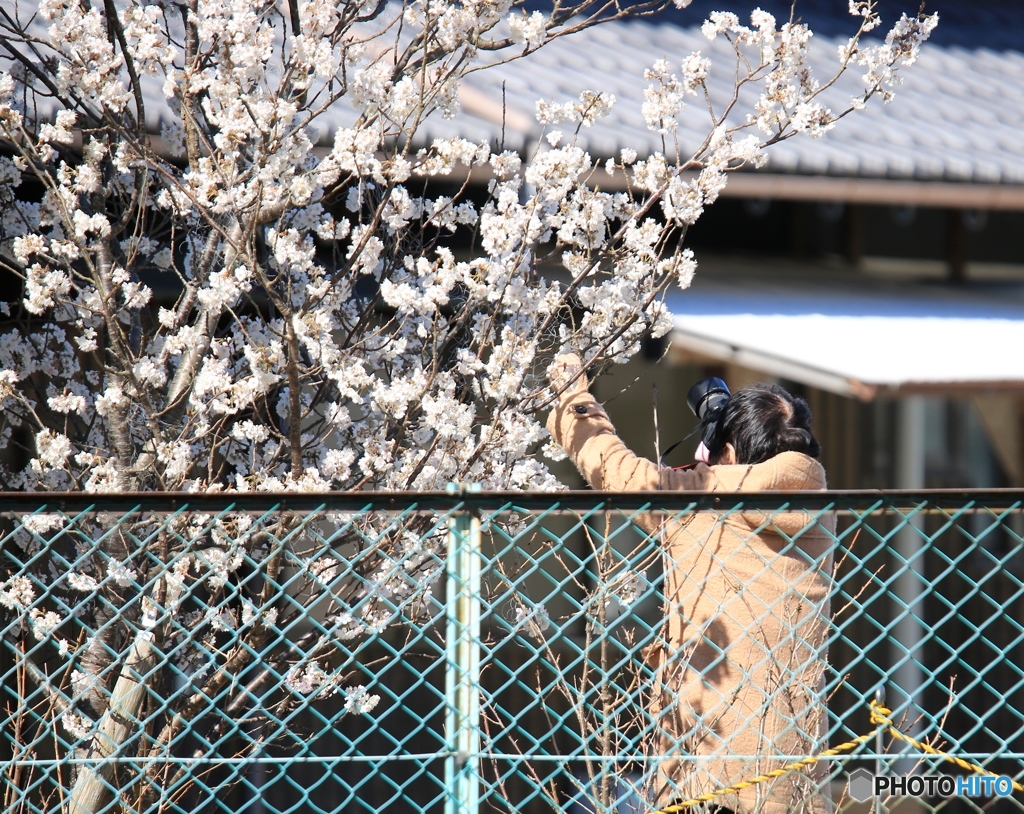 いい写真撮ってね！