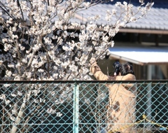 いい写真撮ってね！