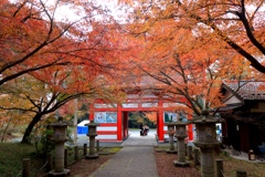 丹波秋色　高山寺１