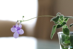 部屋の中で