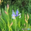 散歩中にパチリ