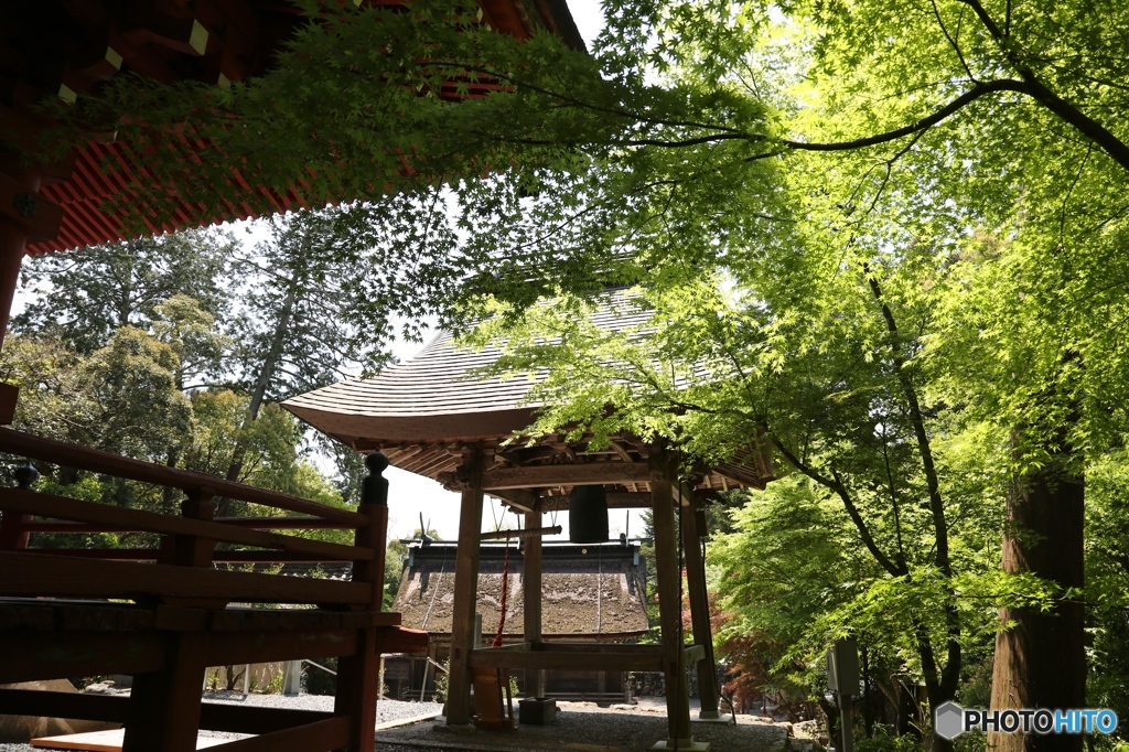 柏原八幡宮にて５
