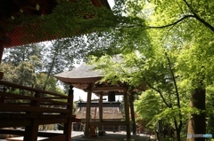 柏原八幡宮にて５