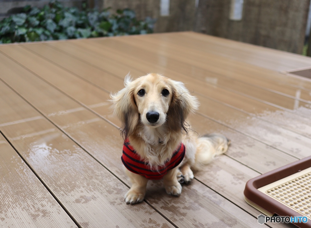 雨降りは大変です。