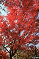 余暇村公園にて３
