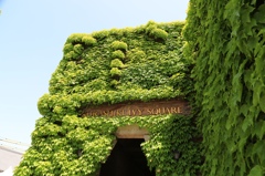 笑顔に見えるかな？