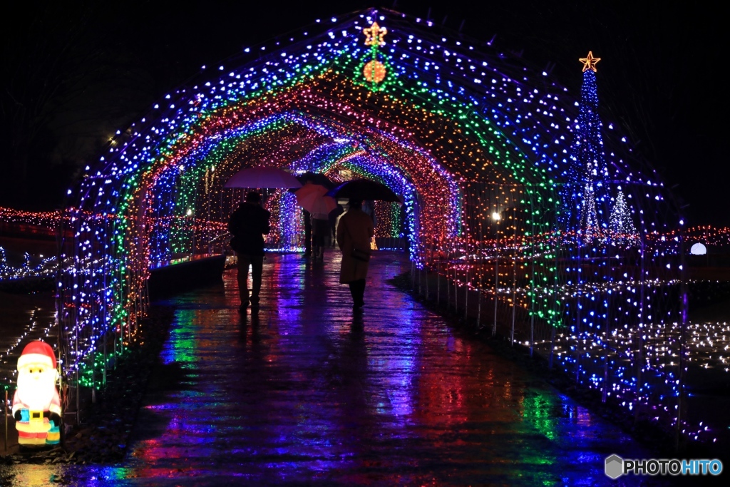 フラワーセンターにて