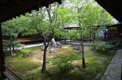 京都　建仁寺にて