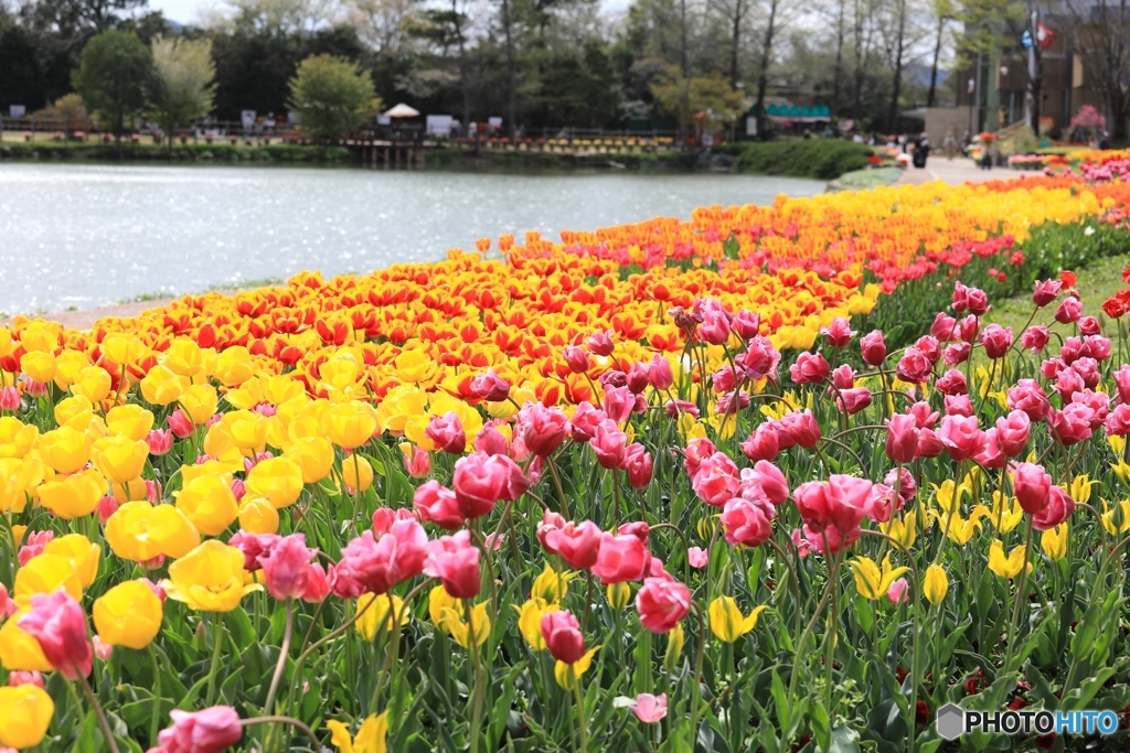 フラワーセンターにて