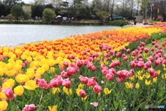 フラワーセンターにて