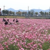 ひまわり公園にて