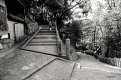 つづれ坂