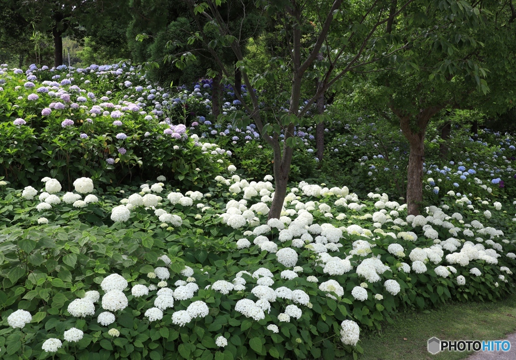 明石海峡公園にて３