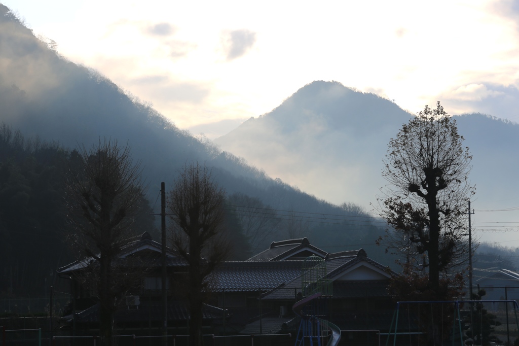 朝