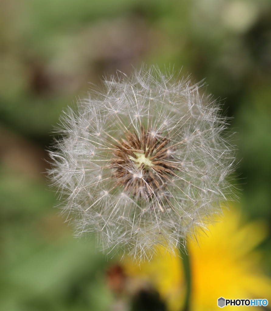 もうすぐ飛びます