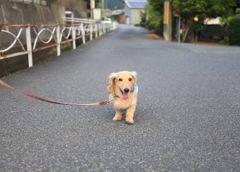 お久しぶりです　クウちゃんです