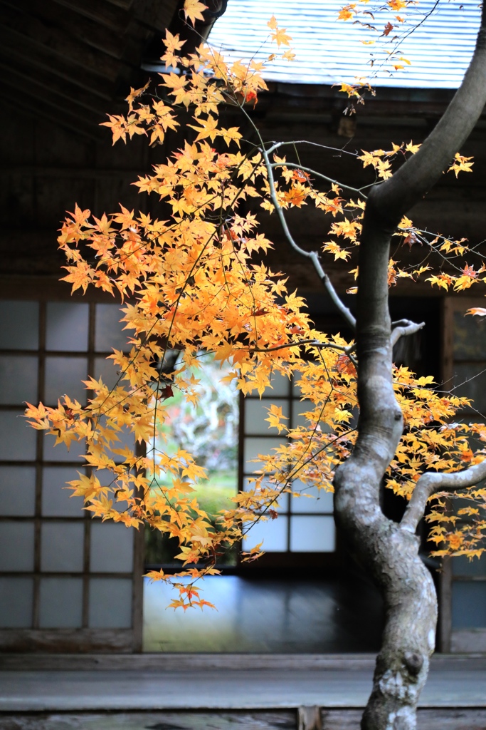 丹波秋色　慧日寺１