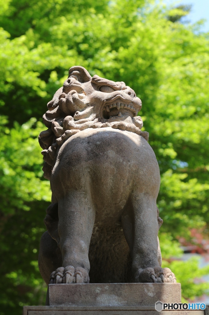 睨みを利かせて