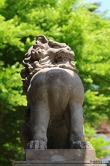 睨みを利かせて