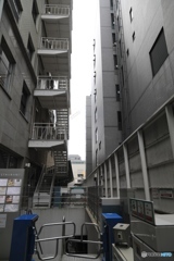 京都四条にて
