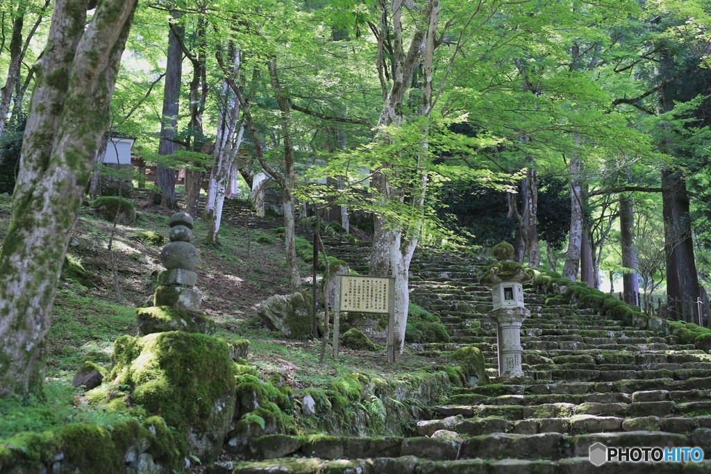 高源寺にて１