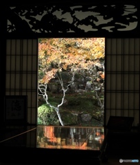 慧日寺にて４