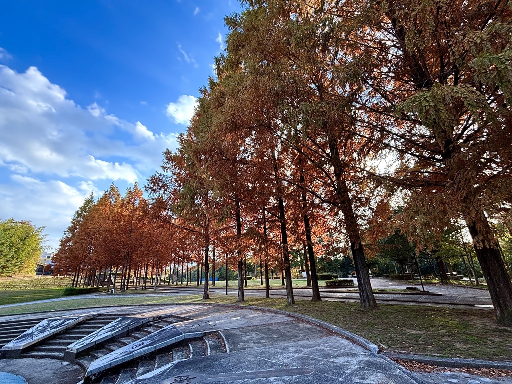 日本へそ公園にて