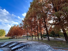 日本へそ公園にて