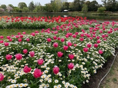 フラワーセンターにて2