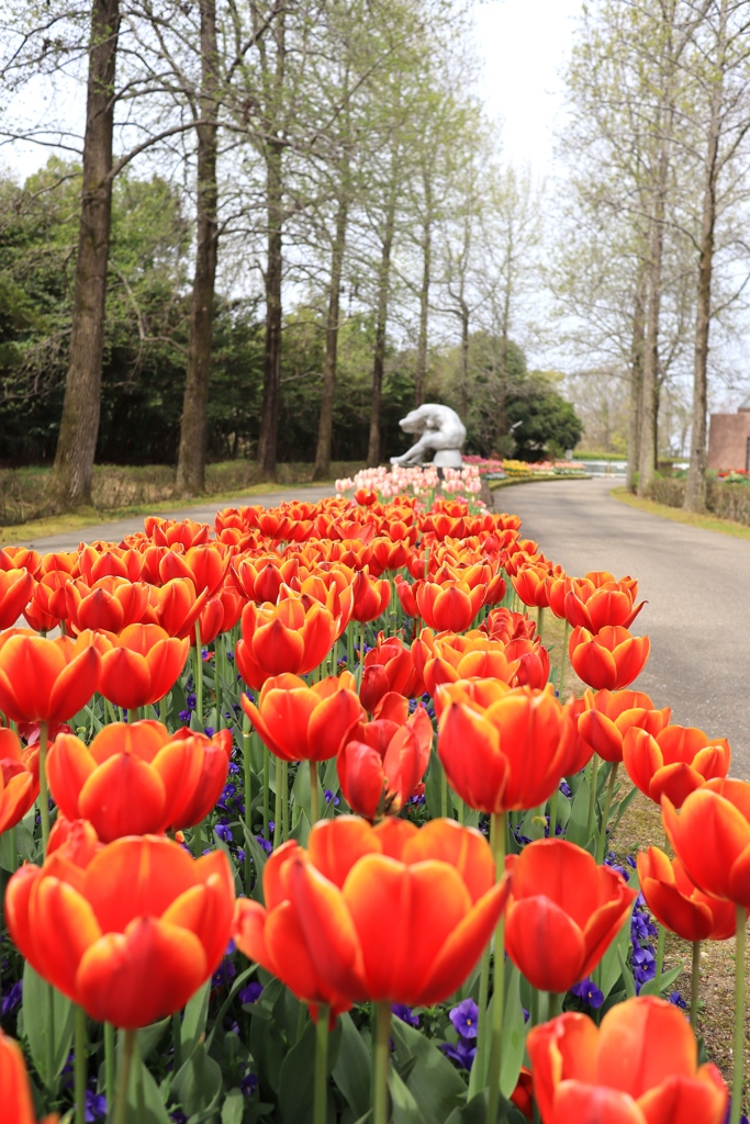 フラワーセンターにて２