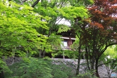 播州清水寺にて３