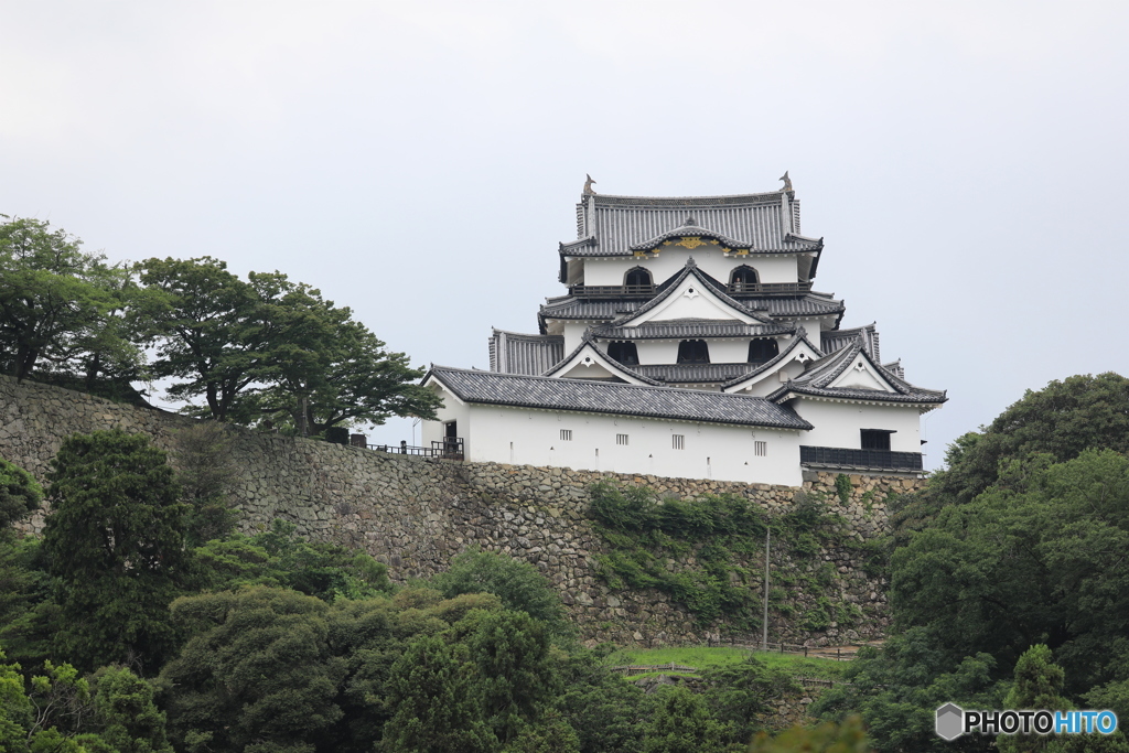 彦根城を望む２