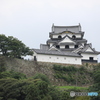 彦根城を望む２