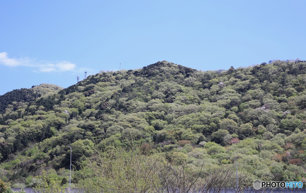 新緑ー家の近くでー