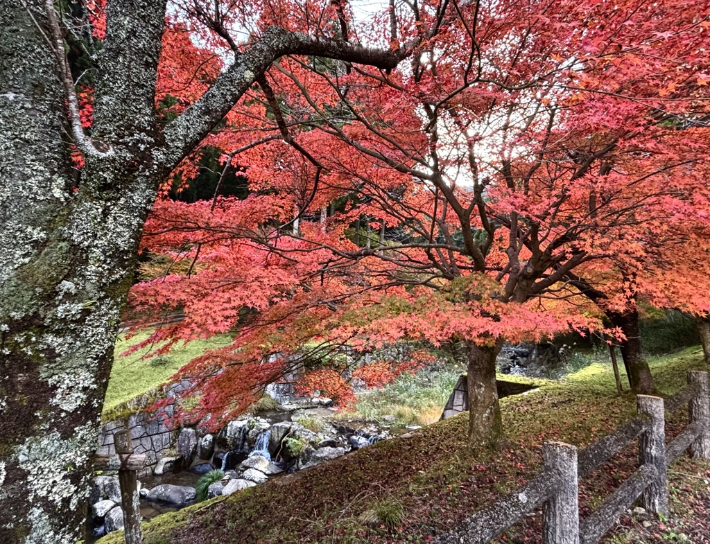 多可町にて　プチツーリング