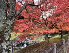 多可町にて　プチツーリング
