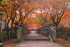 丹波秋色　高山寺２