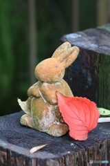 秋色 ー庭にて＝