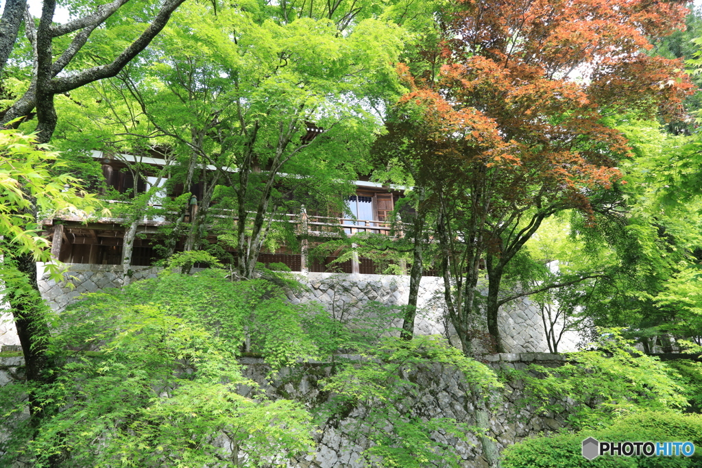 新緑 播州清水寺にて２